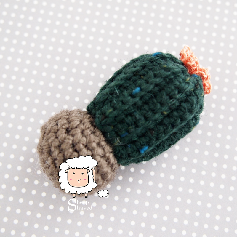 Mini Cactus - Made to Order