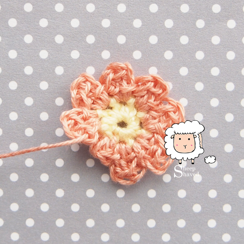 Mini Cactus - Made to Order