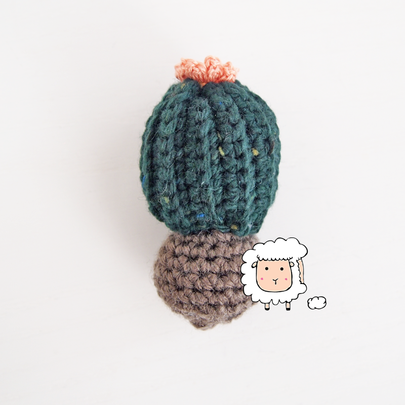 Mini Cactus - Made to Order