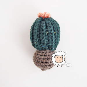 Mini Cactus - Made to Order