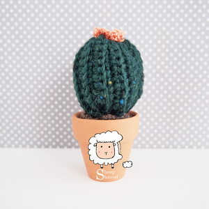 Mini Cactus - Made to Order
