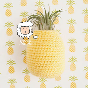 Pineapple Air Plant Holder Pattern