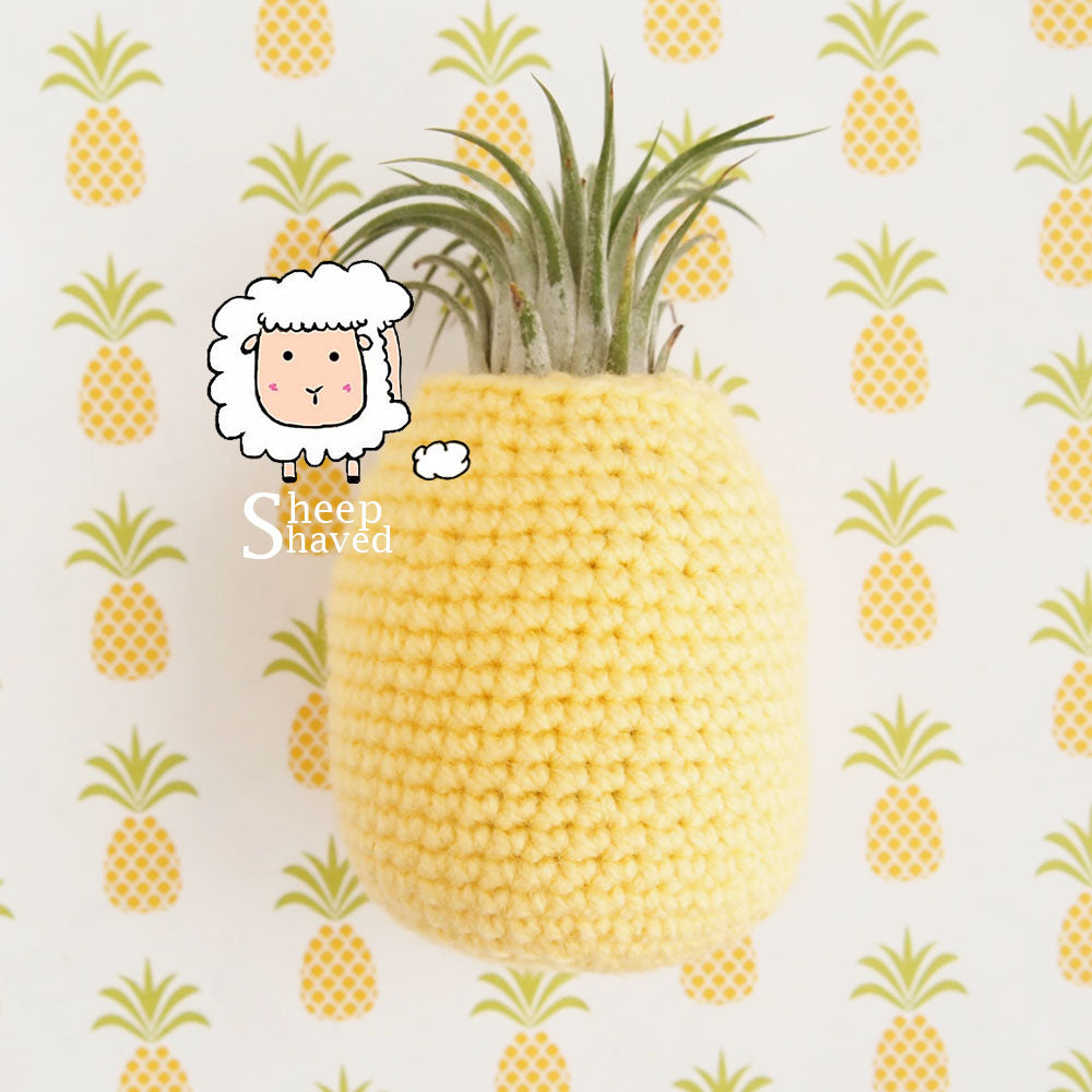 pineapple air plant holder Pineapple Air Plant Holder