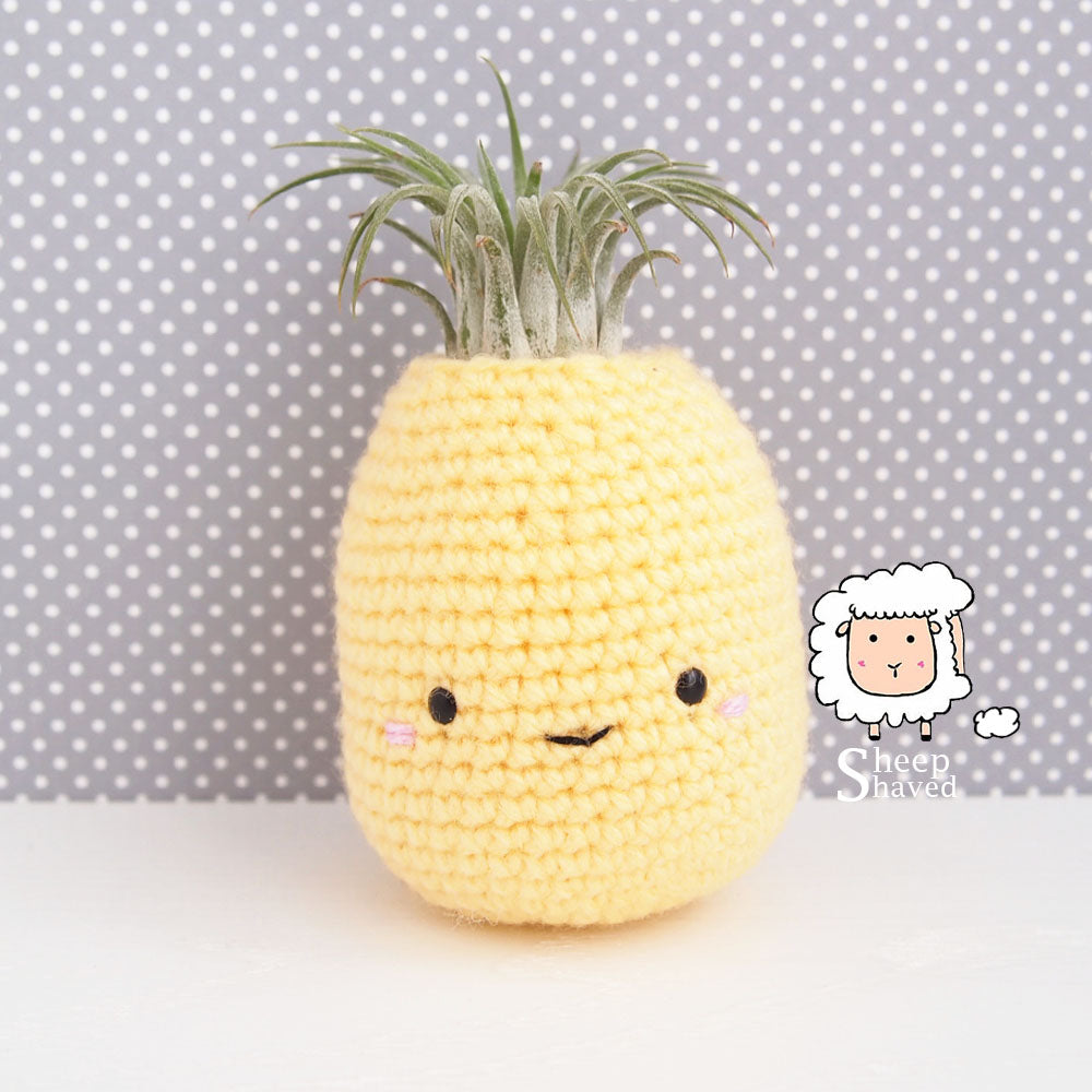 crochet air plant holder pattern Pineapple Air Plant Holder Pattern – SheepShaved
