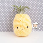 Pineapple Air Plant Holder Pattern