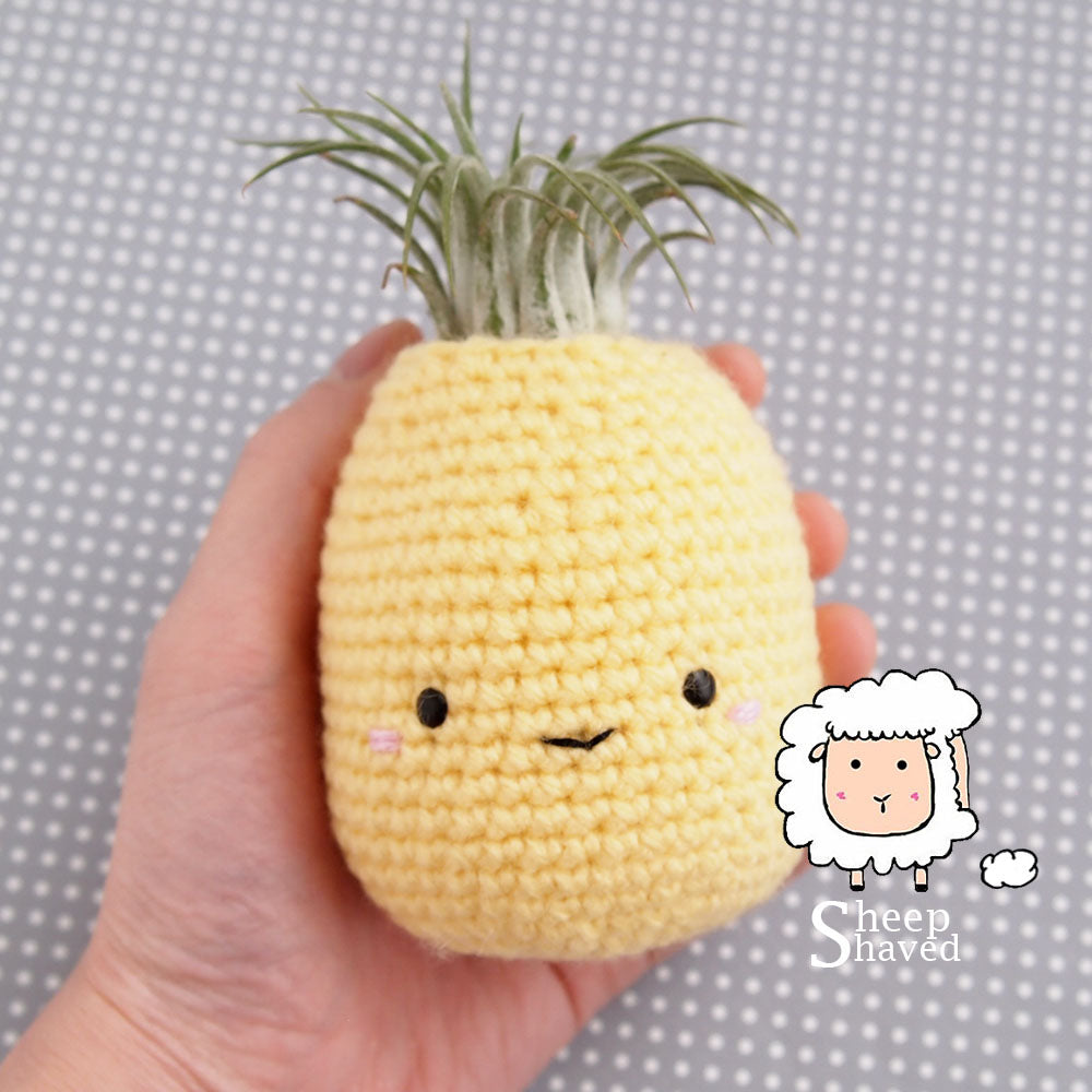 Pineapple Air Plant Holder Pattern