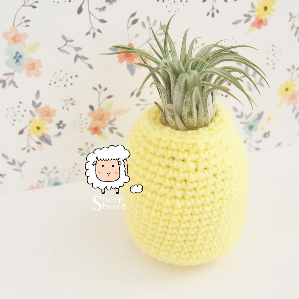 air pineapple plant Pineapple Air Plant Holder